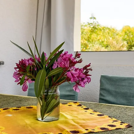 Appartement Nativitatis Vir