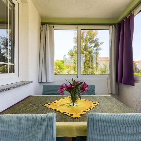 Appartement Nativitatis